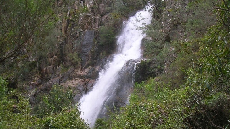 Jingellic Nature Walks Waterfalls